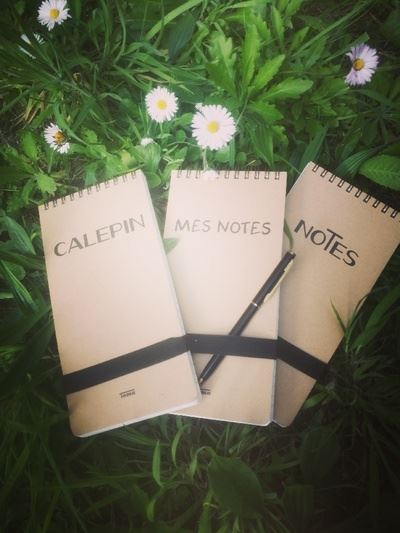 Notes carnet a spirales