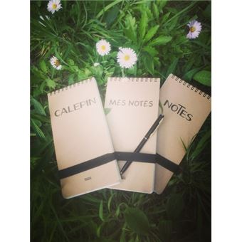 Spirales mes notes kraft Carnet à spirales - relié - Aristide Nemosset ...