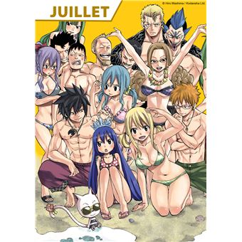 Fairy tail - Agenda Fairy Tail 2023-2024 - Hiro Mashima - broché, Livre  tous les livres à la Fnac