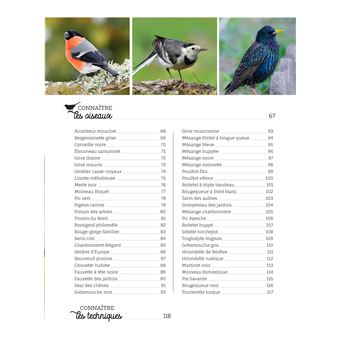 Des oiseaux dans votre jardin