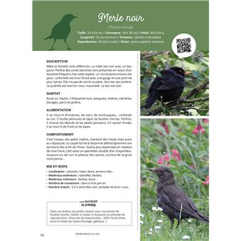 Des oiseaux dans votre jardin