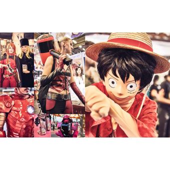 Japan Expo - le meilleur de la culture japonaise