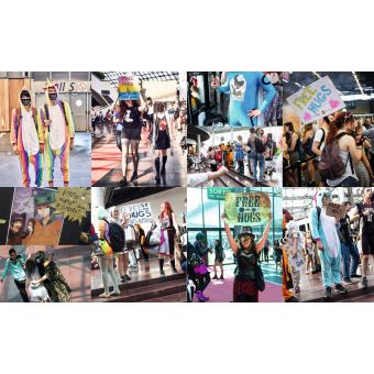 Japan Expo - le meilleur de la culture japonaise