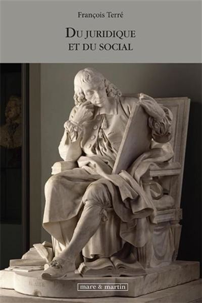 Du juridique et du social - François Terré - broché