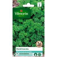Persil Frisé Alto Vilmorin