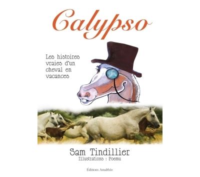 Calypso. les histoires vraies d'un cheval en vacances