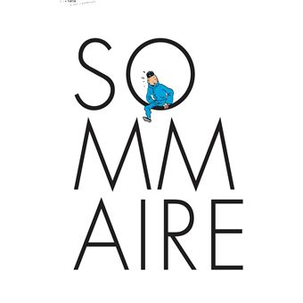 Tintin - C'est l'aventure 5