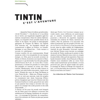 Tintin - C'est l'aventure 5