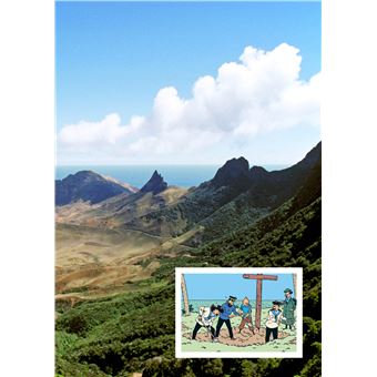 Tintin - C'est l'aventure 5