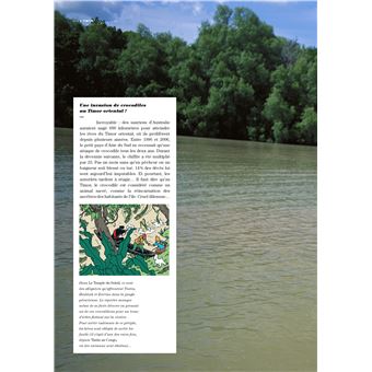 Tintin - C'est l'aventure 5