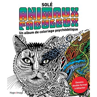 Livre De Coloriage Pour Adulte Hachette