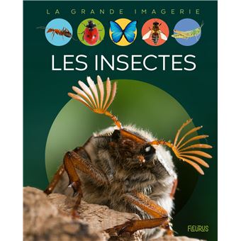 Les insectes