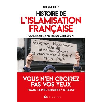 Histoire de l'islamisation française