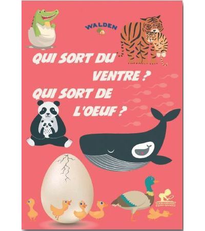 Qui sort du ventre, qui sort de l’oeuf ? -  Collectif - broché