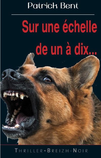 Sur une échelle de un à dix - Patrick Bent - broché
