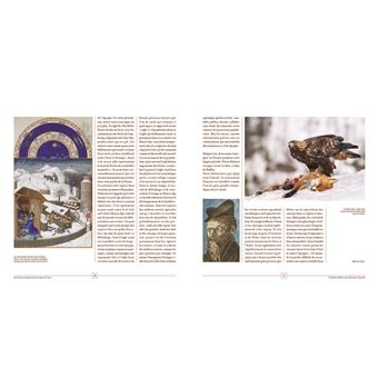 Une histoire contemporaine des oiseaux de France