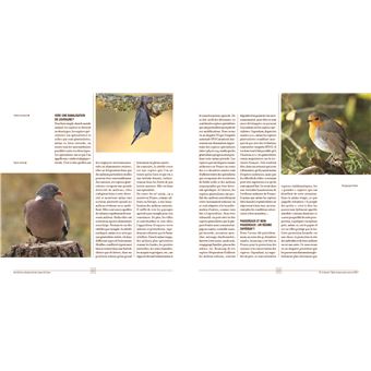 Une histoire contemporaine des oiseaux de France