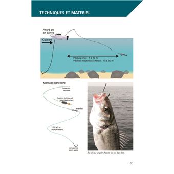 LIVRE La pêche facile du bar aux appâts et aux leurres - Guillaume