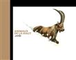 Animaux De La-Haut