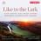Like to the Lark_0