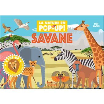 Nature - pop-up - savane