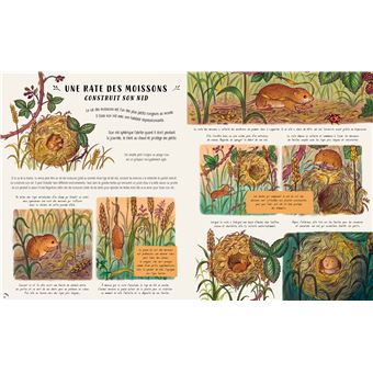 Les secrets de la nature... tout près de toi