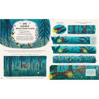 Les secrets de la nature... tout près de toi