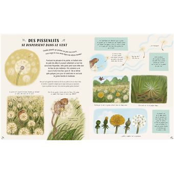 Les secrets de la nature... tout près de toi