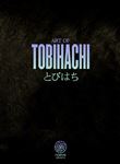 Art of TOBIHACHI - PARADE - COLLECTOR EDITION