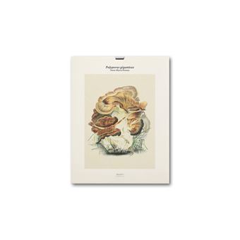 Tirage - Polyporus giganteus - Édition illustrée