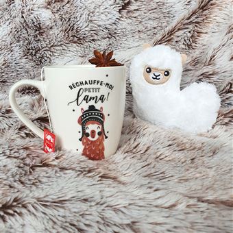 Mug Mon petit moment chaud bouillotte