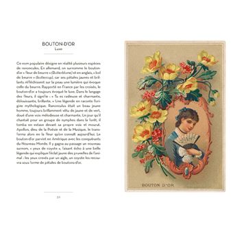 Le Petit livre du langage des fleurs