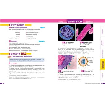Prépabac Toute la 1re générale (tronc commun) - Bac 2024 (toutes les matières)