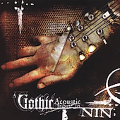 Gothic acoustic tribute to nine inch nails