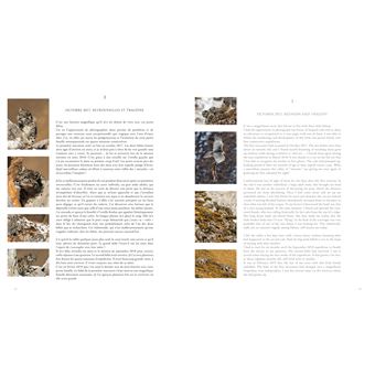 Tibet en harmonie avec la panthère des neiges / in Harmony with the snow leopard