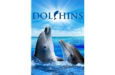 DOLPHINS-VN