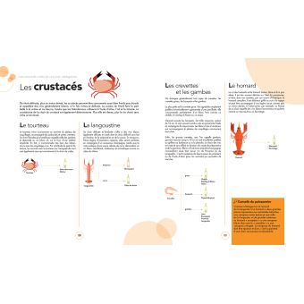 Le grand cours des accords mets et vins