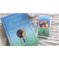 La Divination Chamanique Sioux Broche Fire Lame Deer Helene Sarkis Achat Livre Fnac