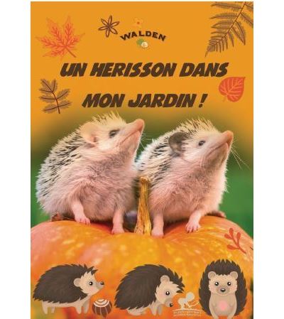Un hérisson dans mon jardin ! -  Collectif - broché