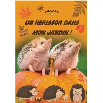 Un hérisson dans mon jardin