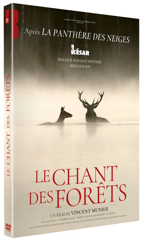 Le Chant des forêts en DVD
