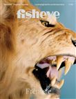 Fisheye n°56 : Frénésie - Novembre 2022