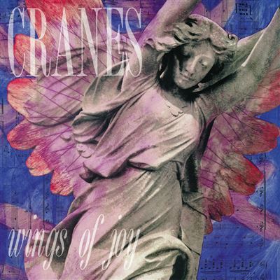 Wings of joy/vinyle couleur