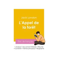 Réussir son Bac de français 2026 : Analyse du roman L'Appel de la forêt de Jack London