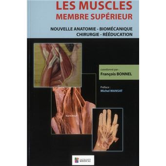 Les muscles : membre superieur