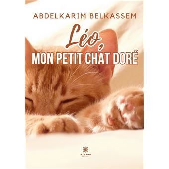 Léo, mon petit chat doré