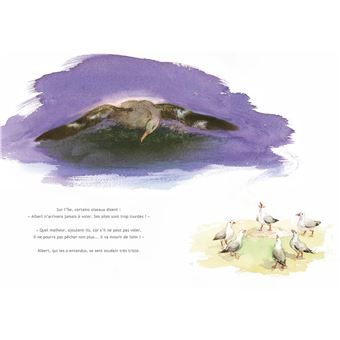 Vole, Albert, Vole !