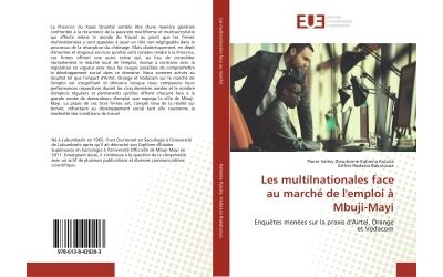Les multilnationales face au marche de l'emploi a mbuji-mayi
