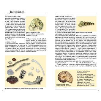 Guide des fossiles