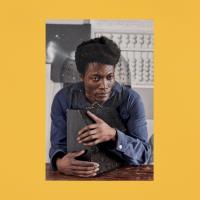 I Tell A Fly Double Vinyle Gatefold Edition limitée